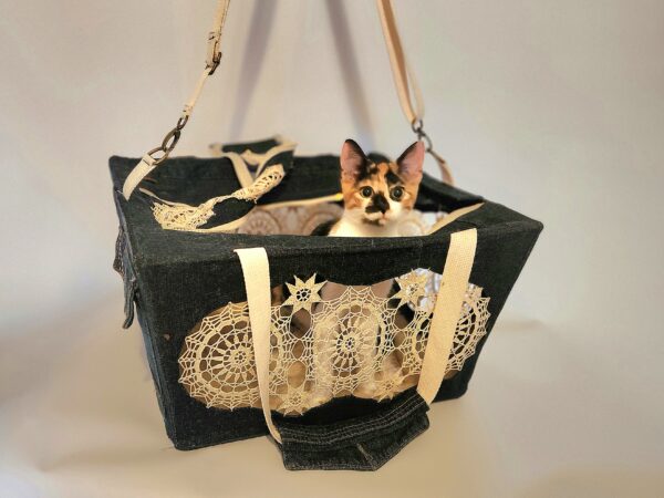 Pet Carrier